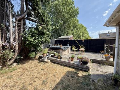 Picture 20